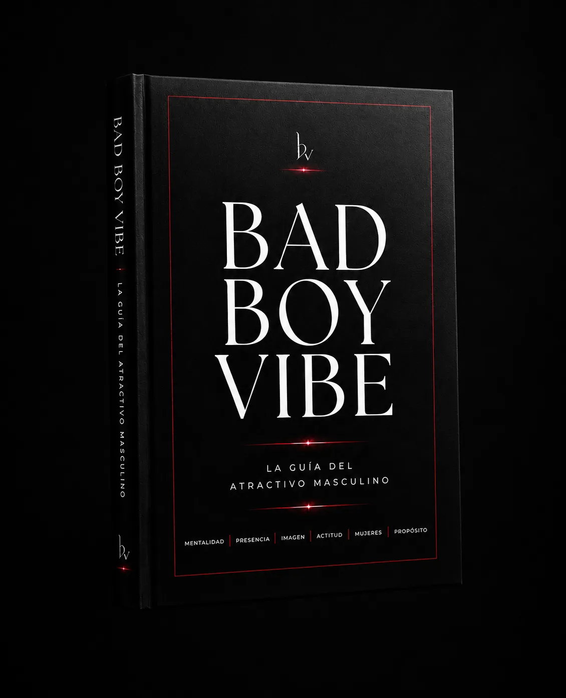 Bad Boy Vibe — Guía digital